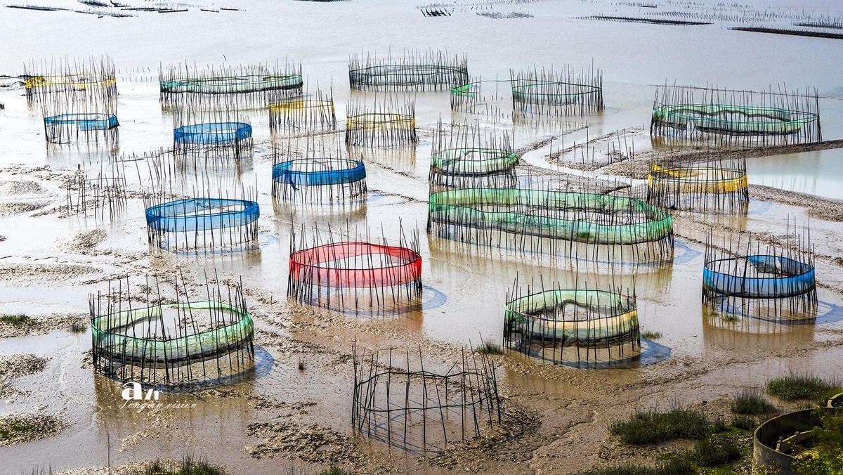 海中的栅栏与甲骨文（3）