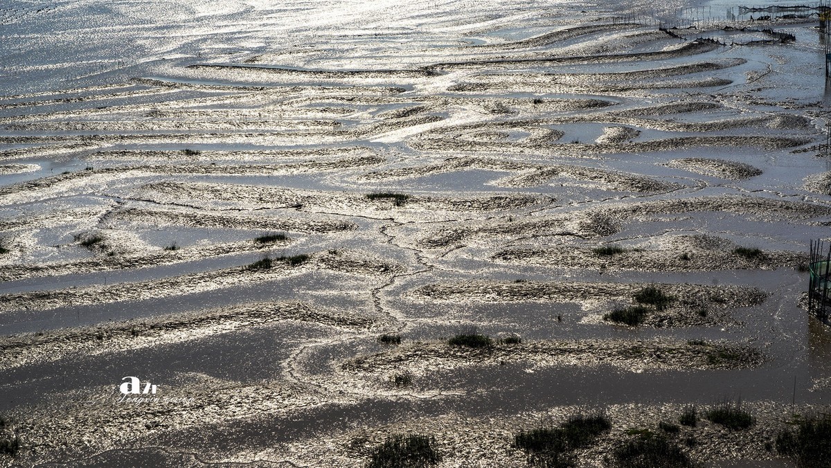 海中的栅栏与甲骨文（3）
