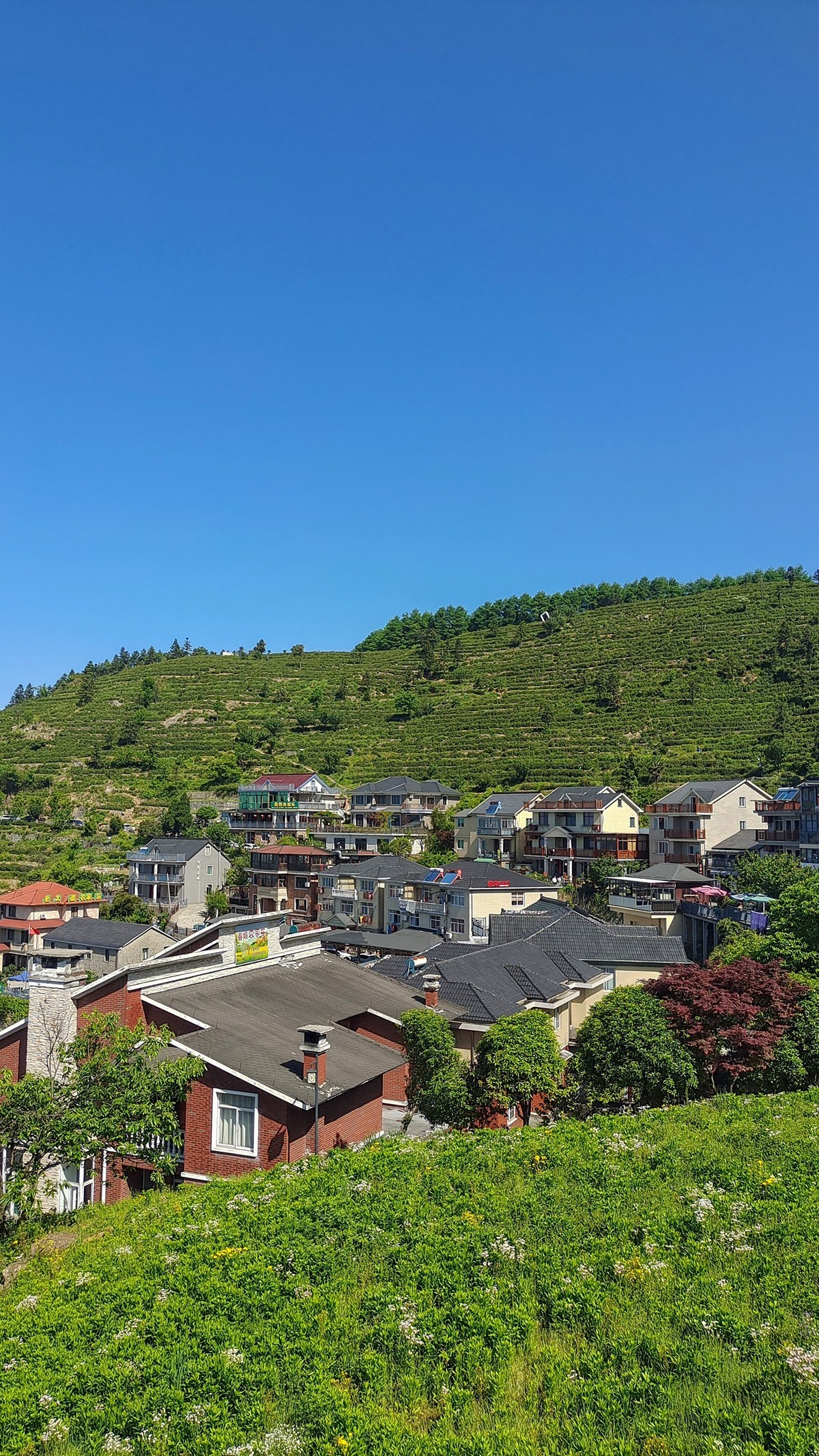 安顶山二【富阳半日游】