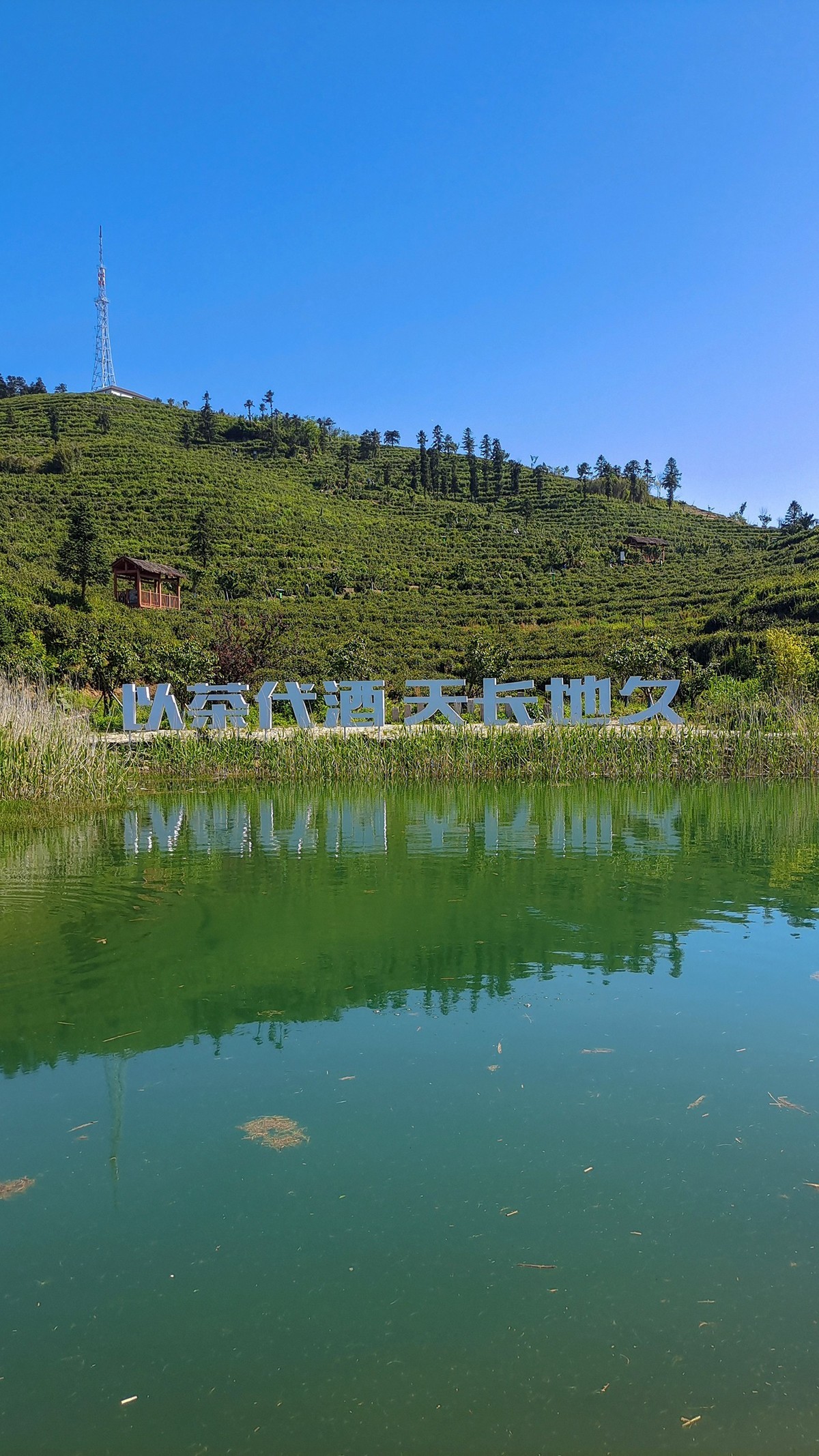安顶山二【富阳半日游】