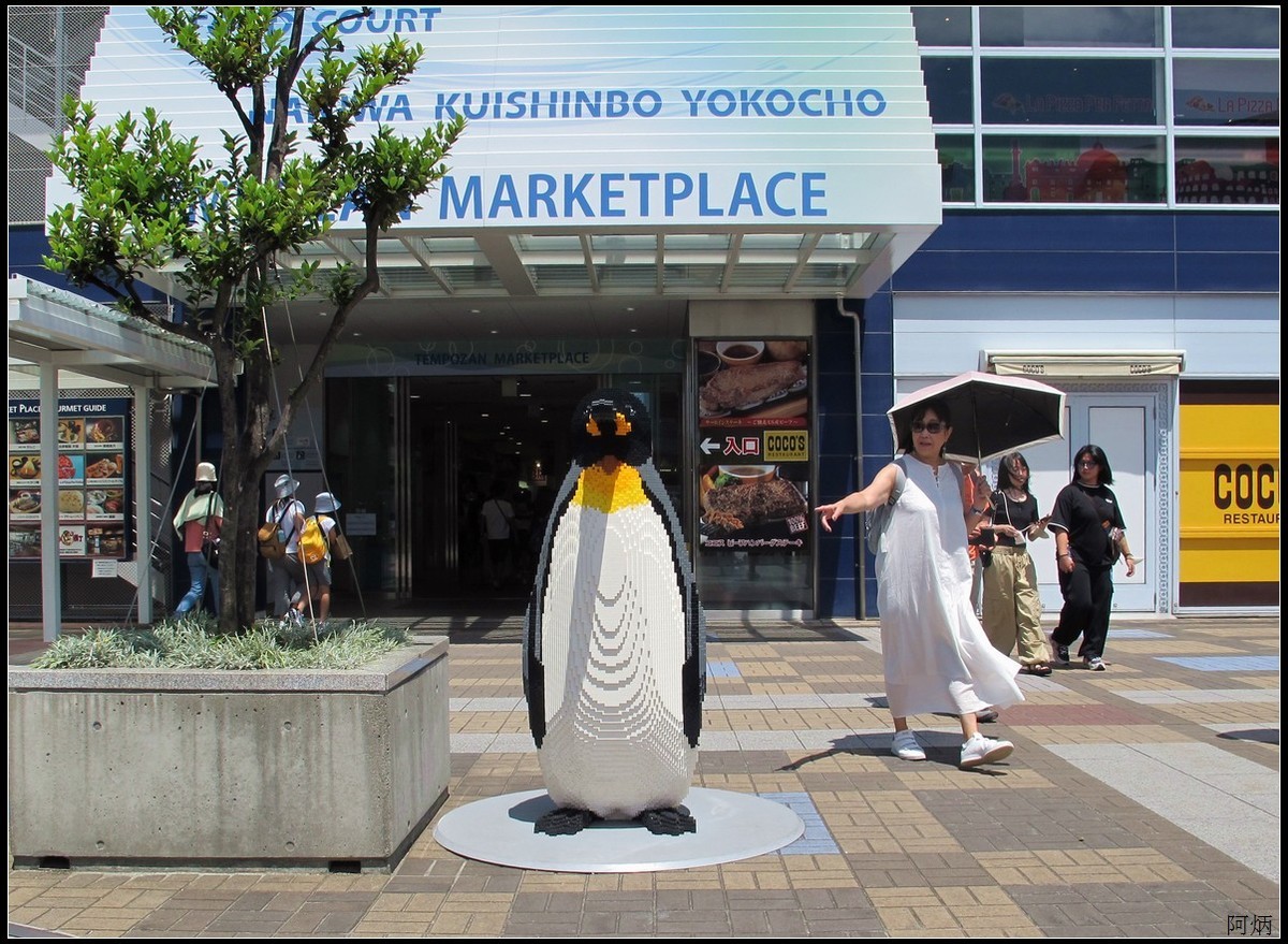 旅游随拍 大阪海游馆景区