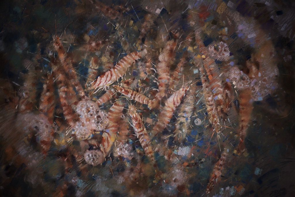 水色心象－－－李庆水彩画展