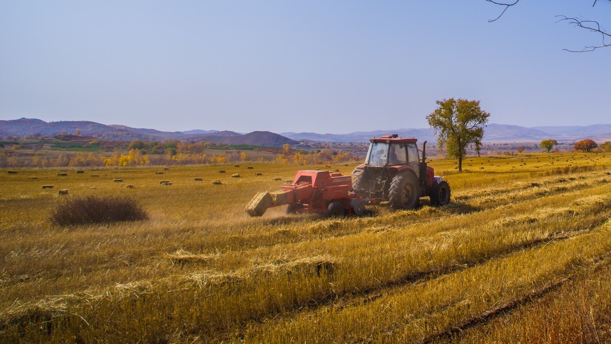 克什克腾旗大萨林和、北台子、杏花沟（三）