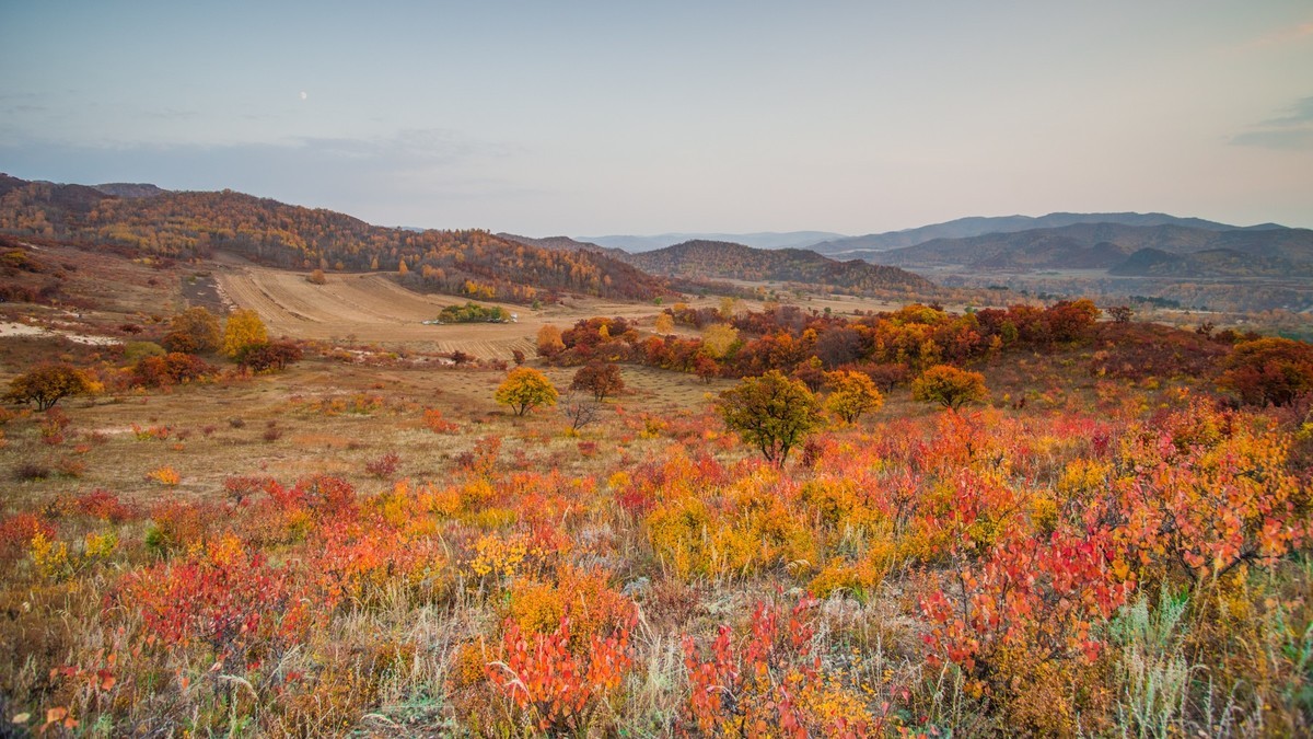 克什克腾旗大萨林和、北台子、杏花沟（三）