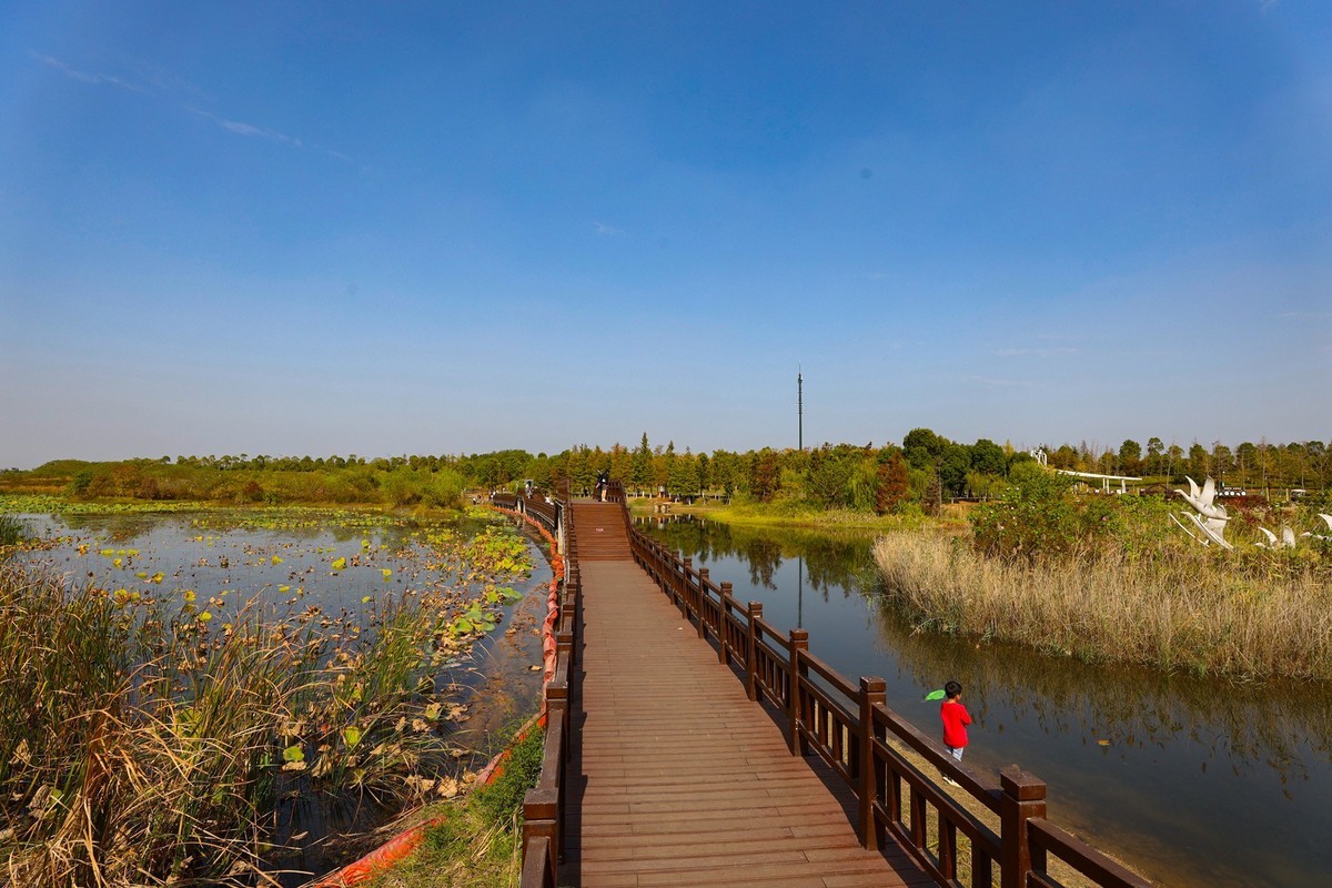 松雅湖湿地公园8