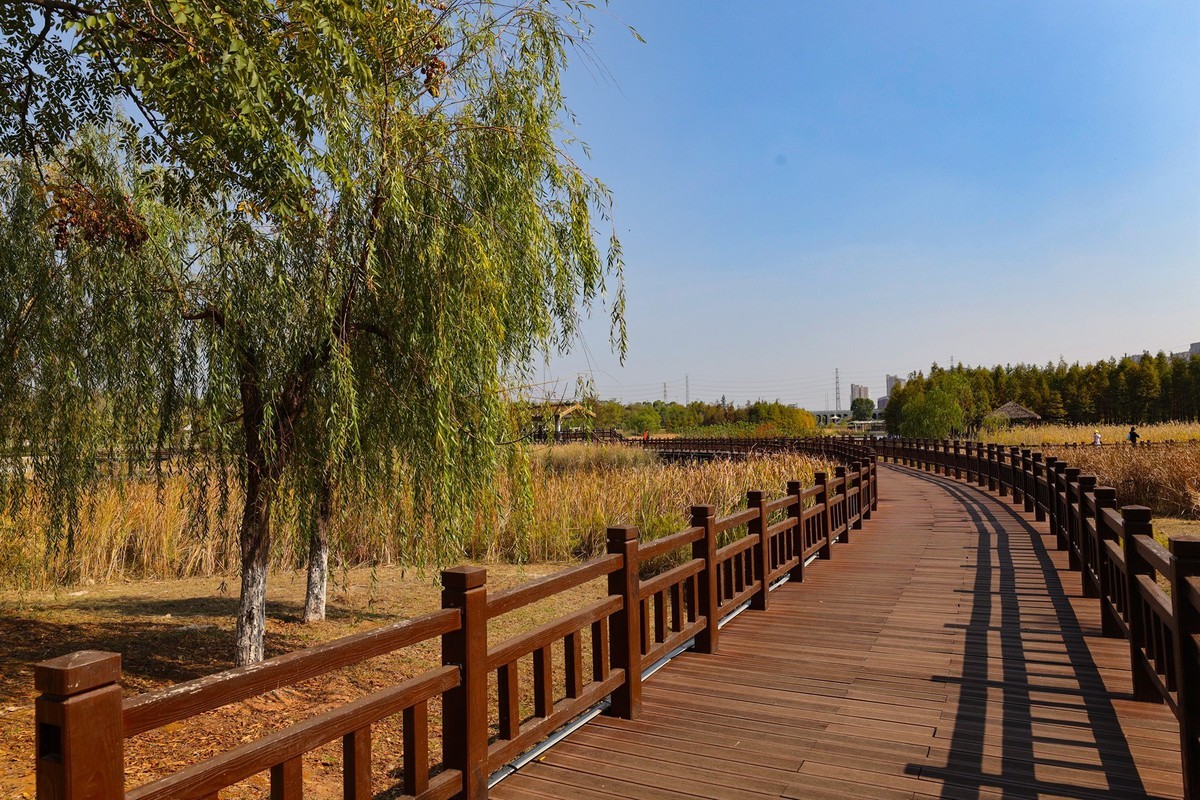 松雅湖湿地公园8