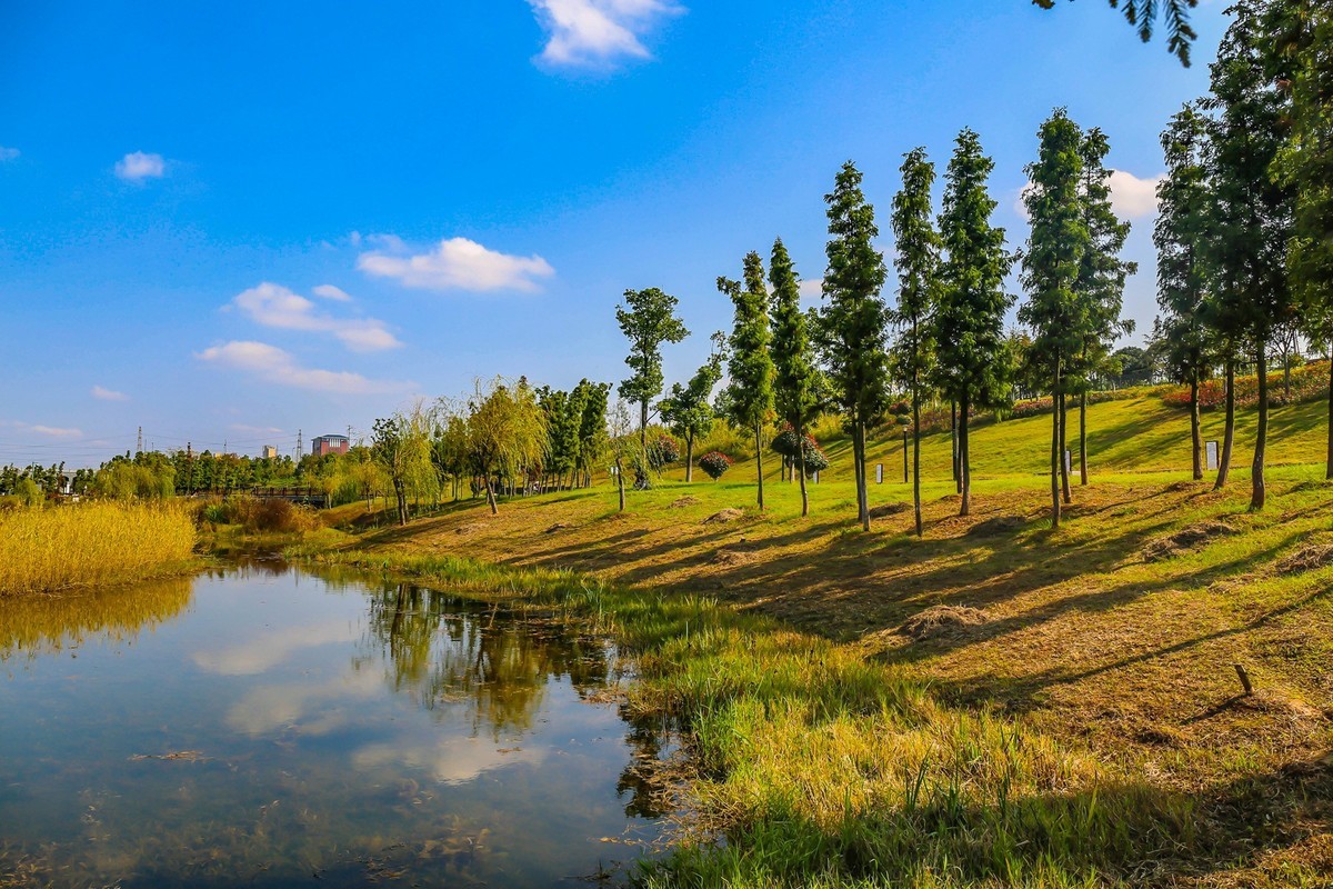 松雅湖溼地公園9