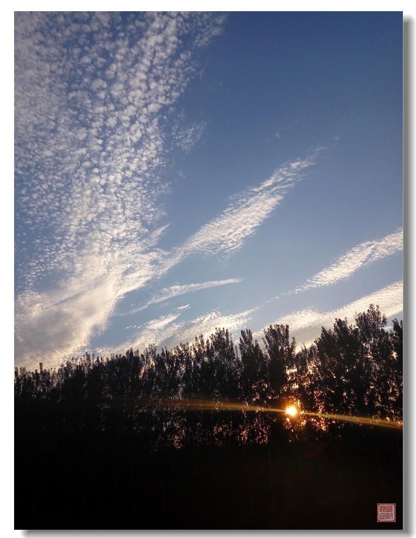 手机随手拍风光（5）