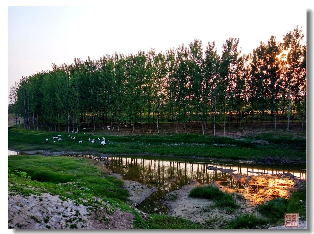 手机随手拍风光（5）