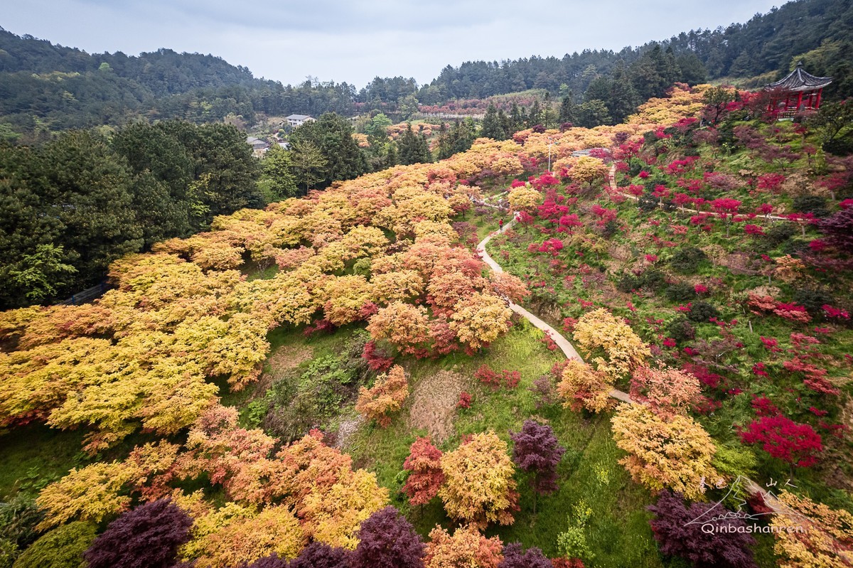 疫情后第一次回来看看
