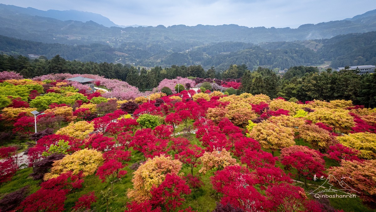疫情后第一次回来看看