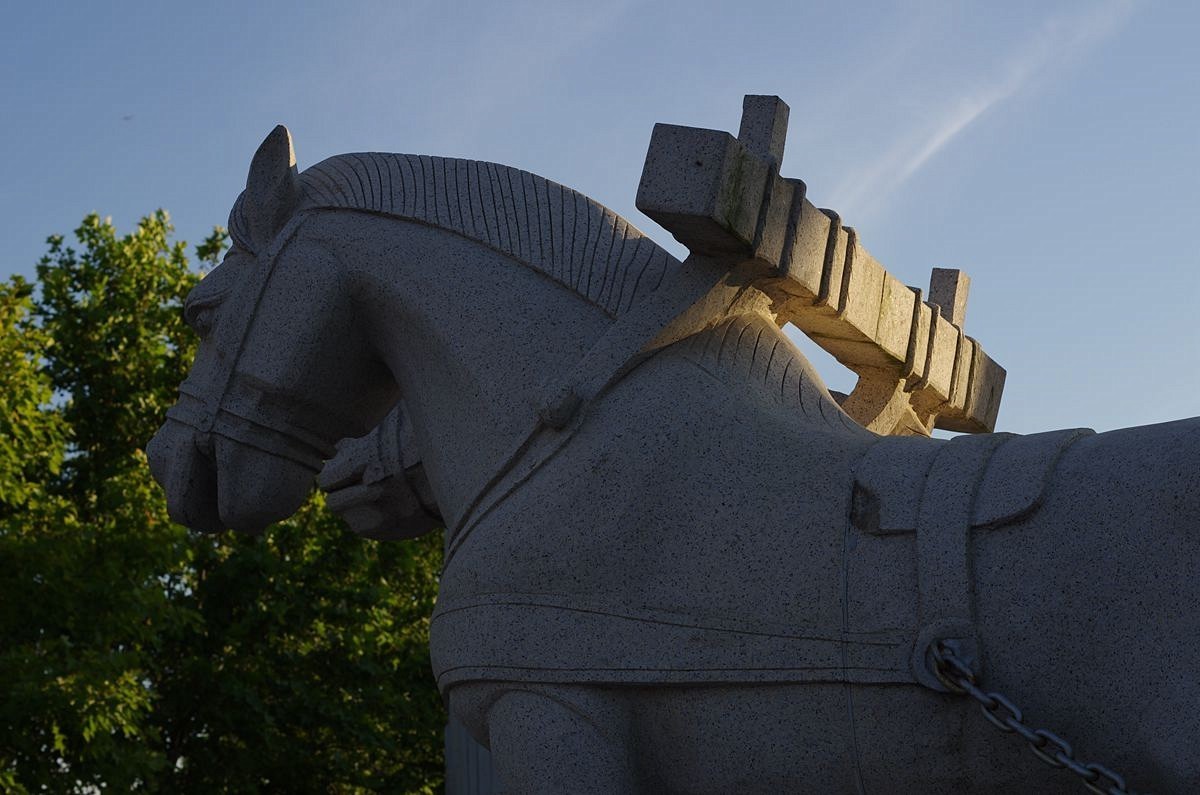 2023夏至的傍晚-15P