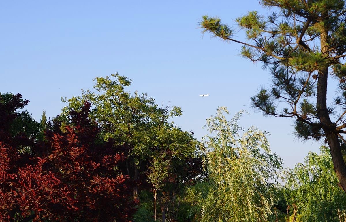 2023夏至的傍晚-15P