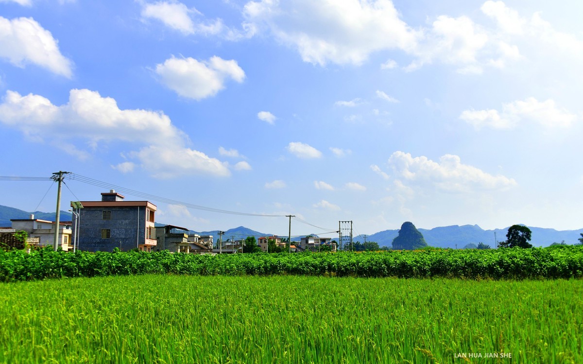 龙岸：禄马庄园