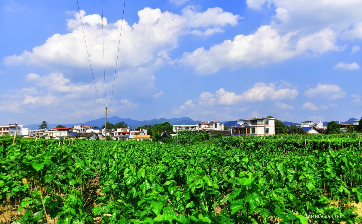 龙岸：禄马庄园