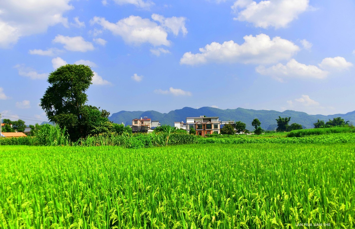 龙岸：禄马庄园