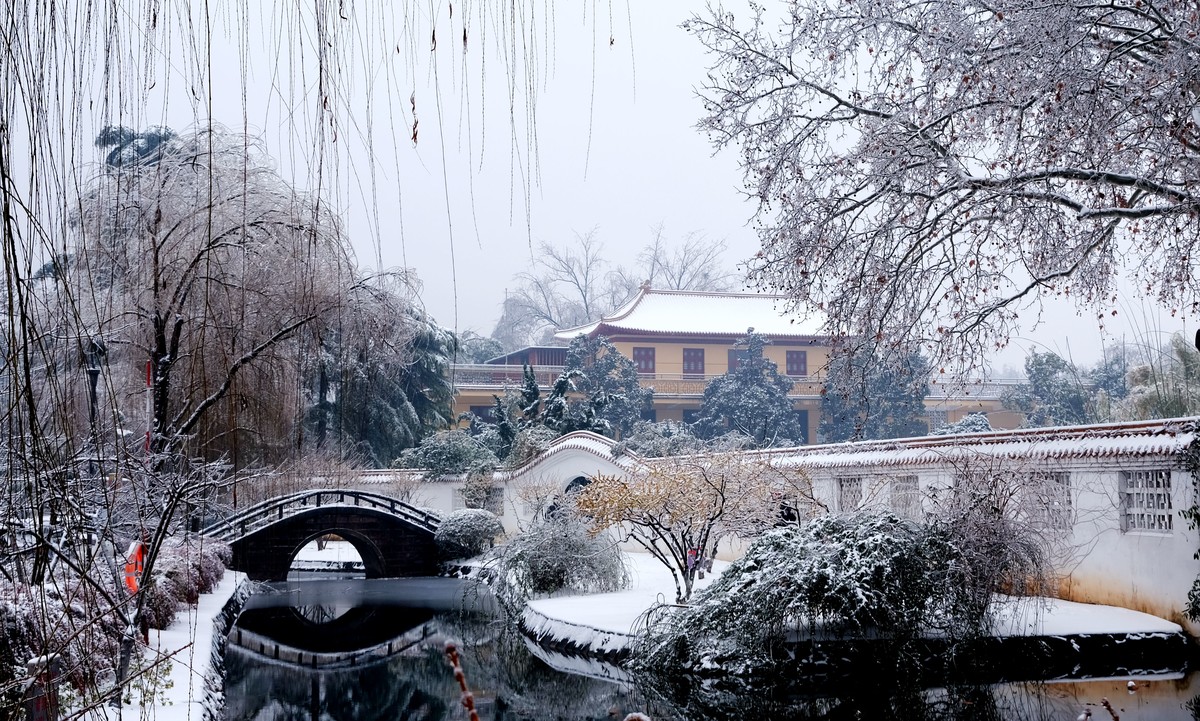 公园里一场雪，一场景。祝版主们及朋友们龙年大吉，作品多多。