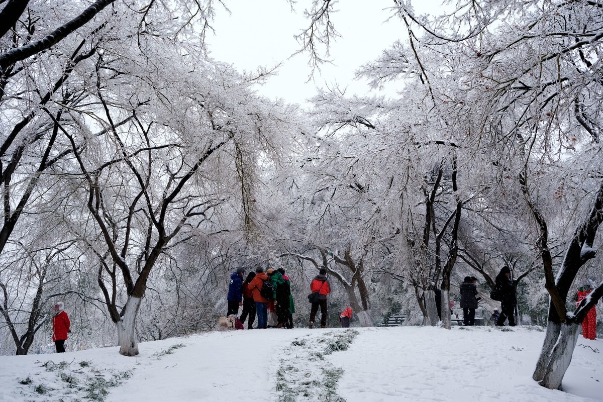 公园里一场雪，一场景。祝版主们及朋友们龙年大吉，作品多多。