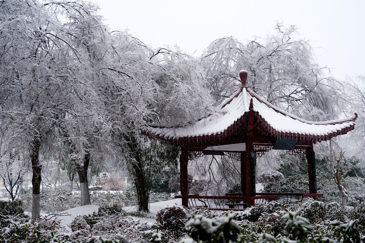 公园里一场雪，一场景。祝版主们及朋友们龙年大吉，作品多多。