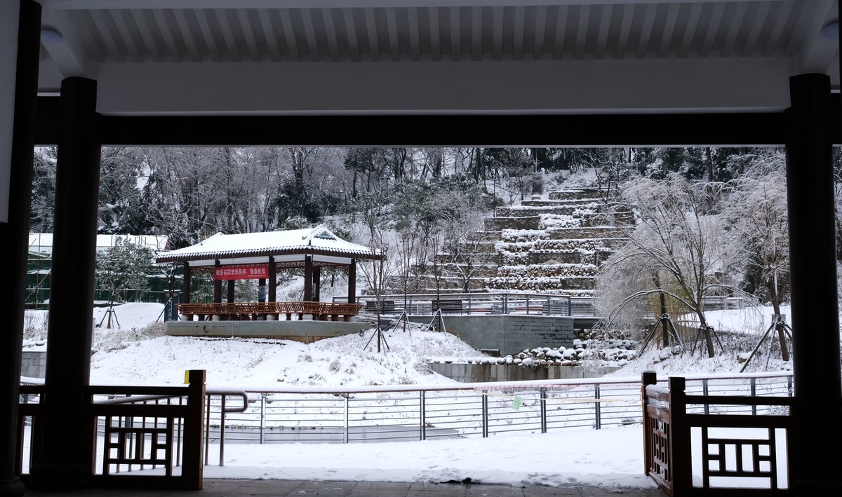 公园里一场雪，一场景。祝版主们及朋友们龙年大吉，作品多多。