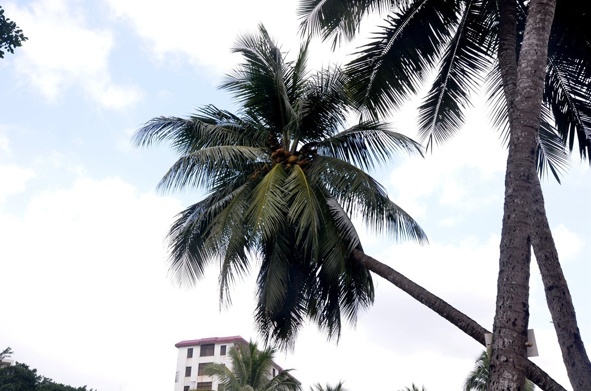 海南 文昌文南老街(五)