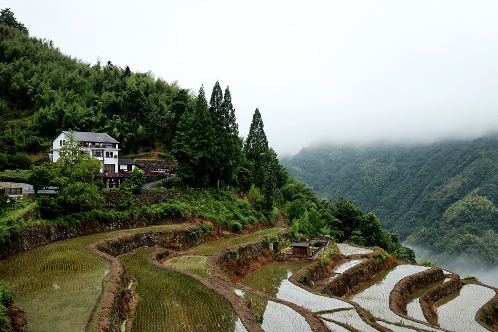 雨雾中的晨拍
