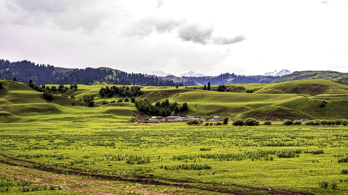那拉提河谷草原【15】续完