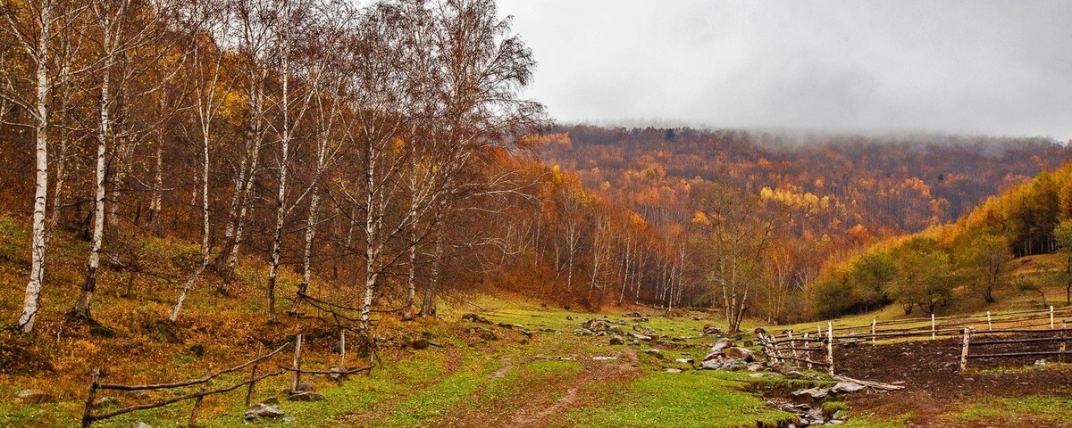 遥望碧空云飞处，层林尽染映秋光。