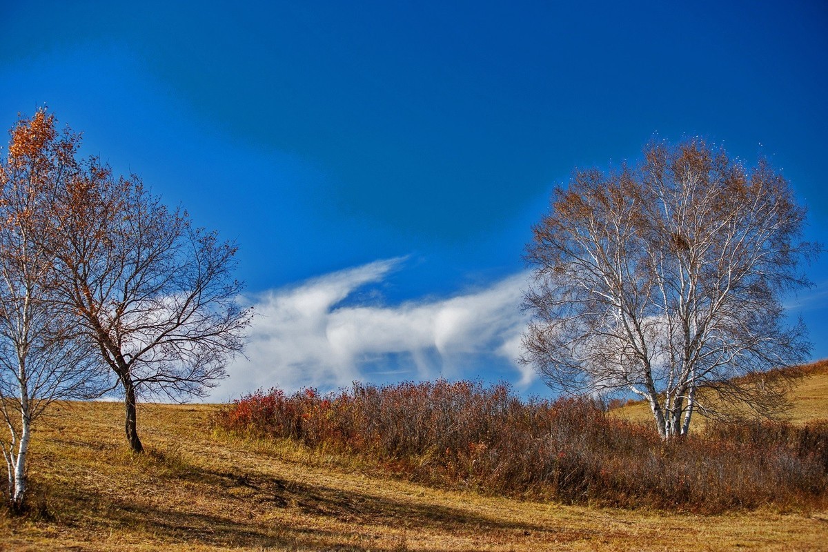 遥望碧空云飞处，层林尽染映秋光。