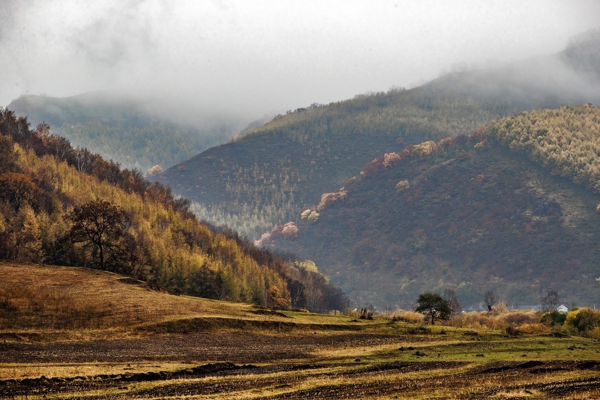 遥望碧空云飞处，层林尽染映秋光。