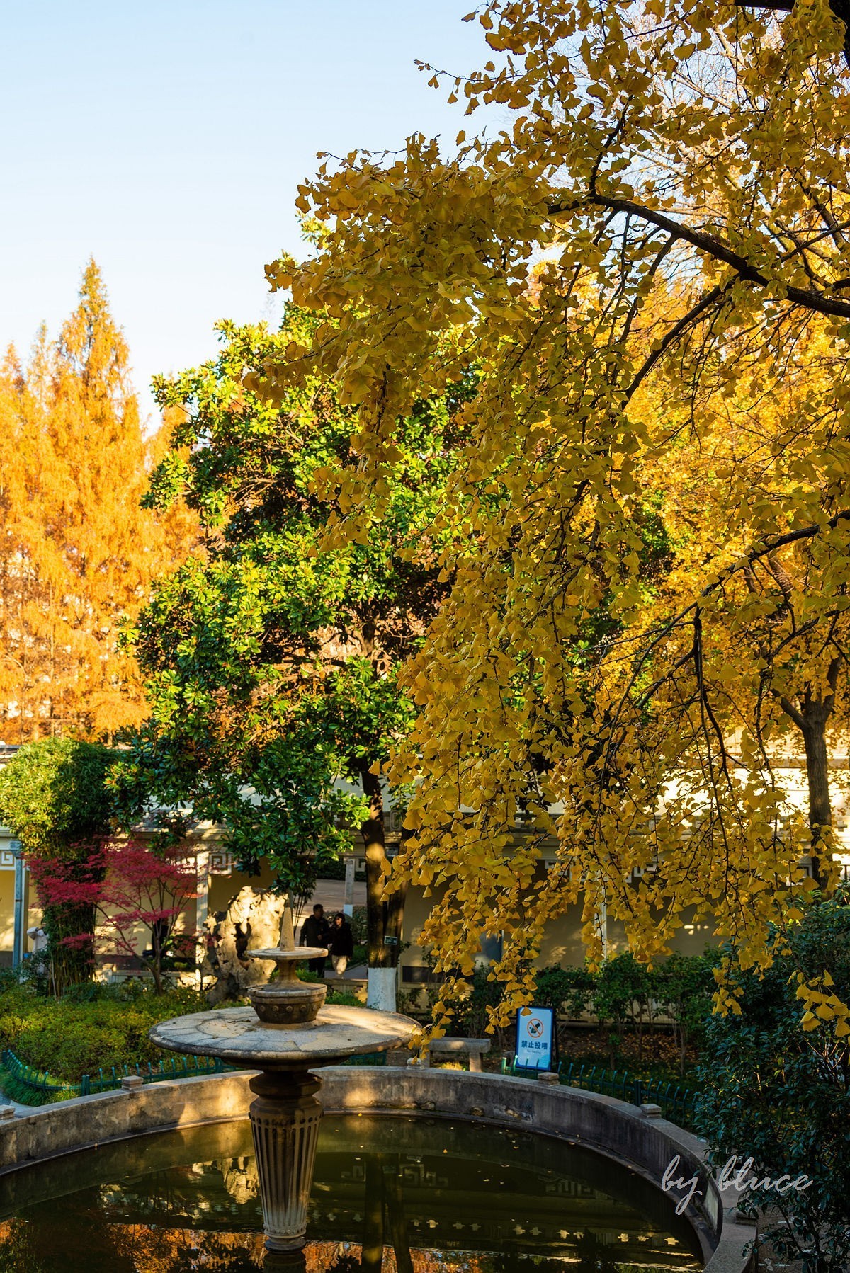 再游总统府【上】