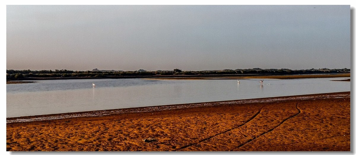 “入海口”（摩洛哥阿加迪尔）