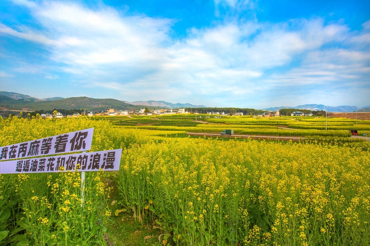 2025-03-28云南保山丙麻油菜花田（一）