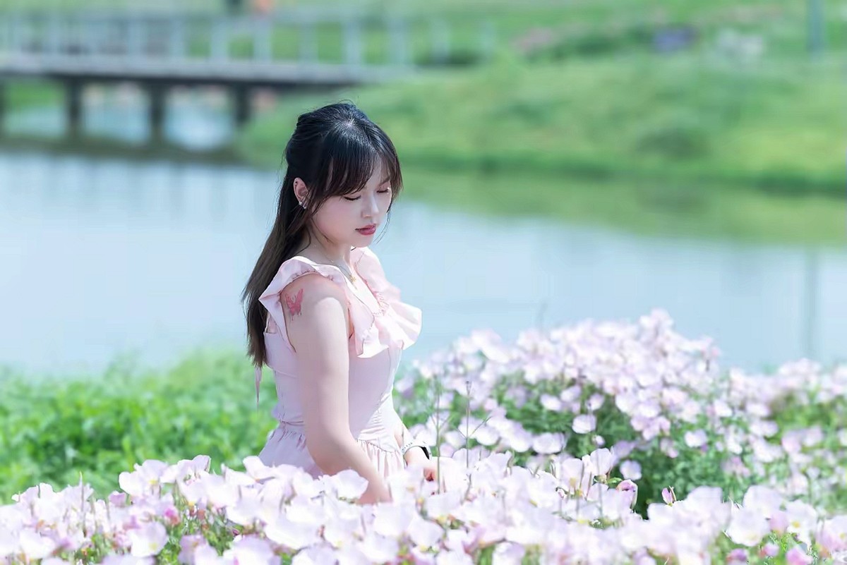 开满鲜花的洋湖湿地--1