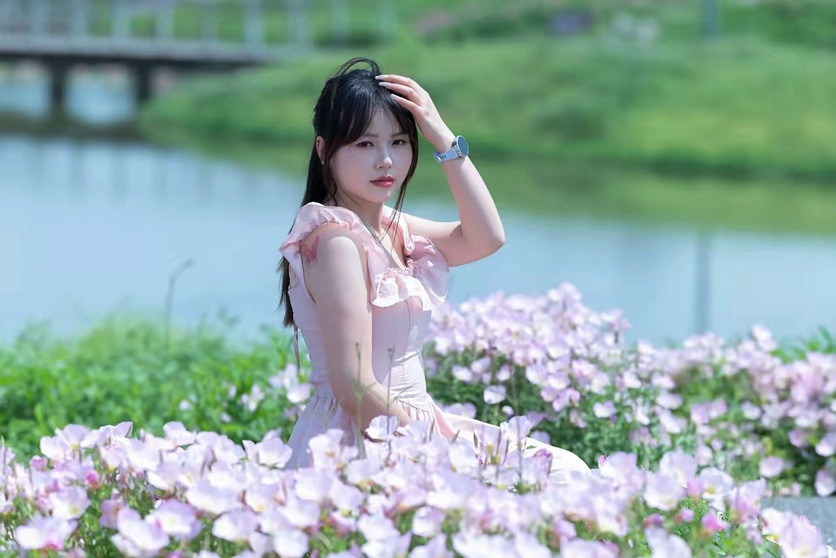 开满鲜花的洋湖湿地--1