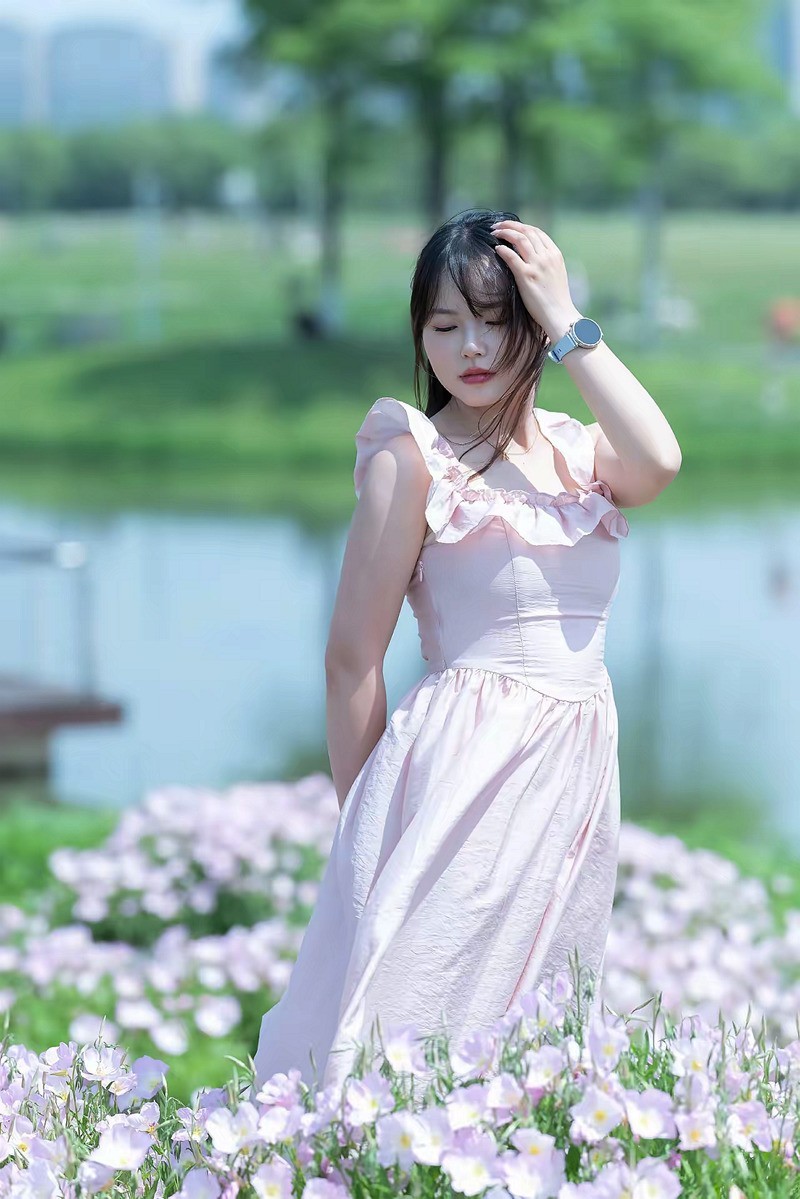 开满鲜花的洋湖湿地--1