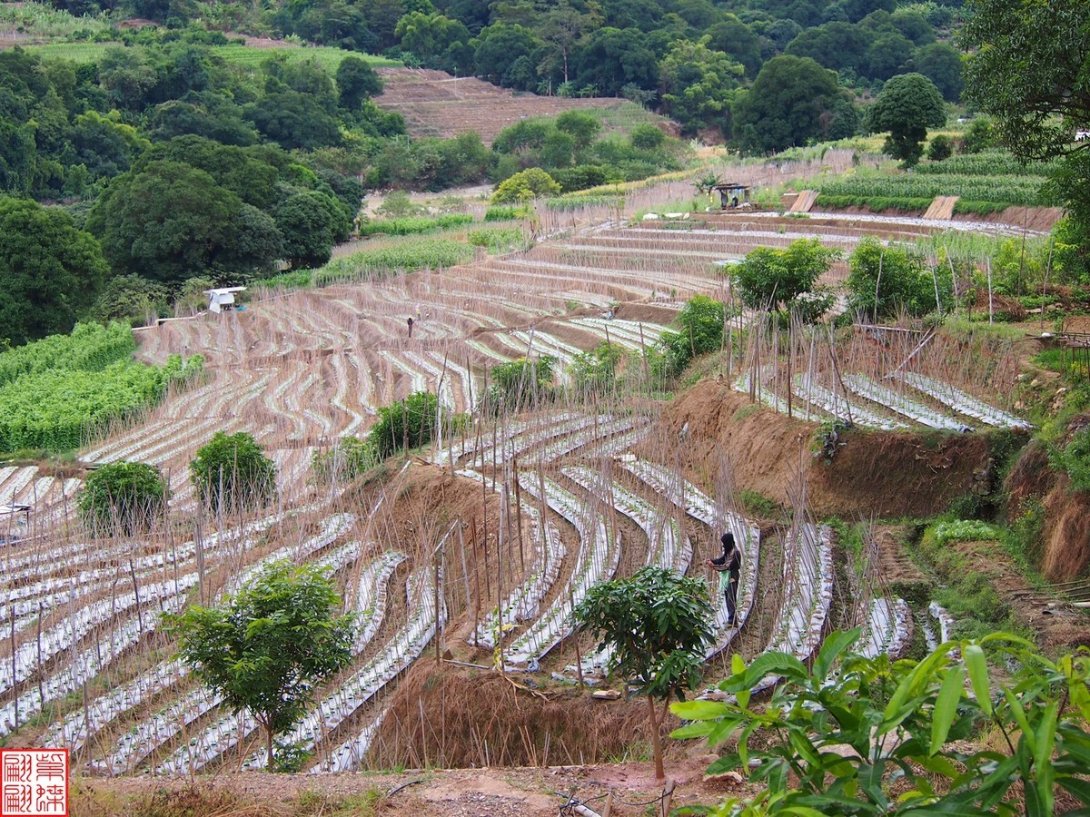 2023.12河口随拍（1）