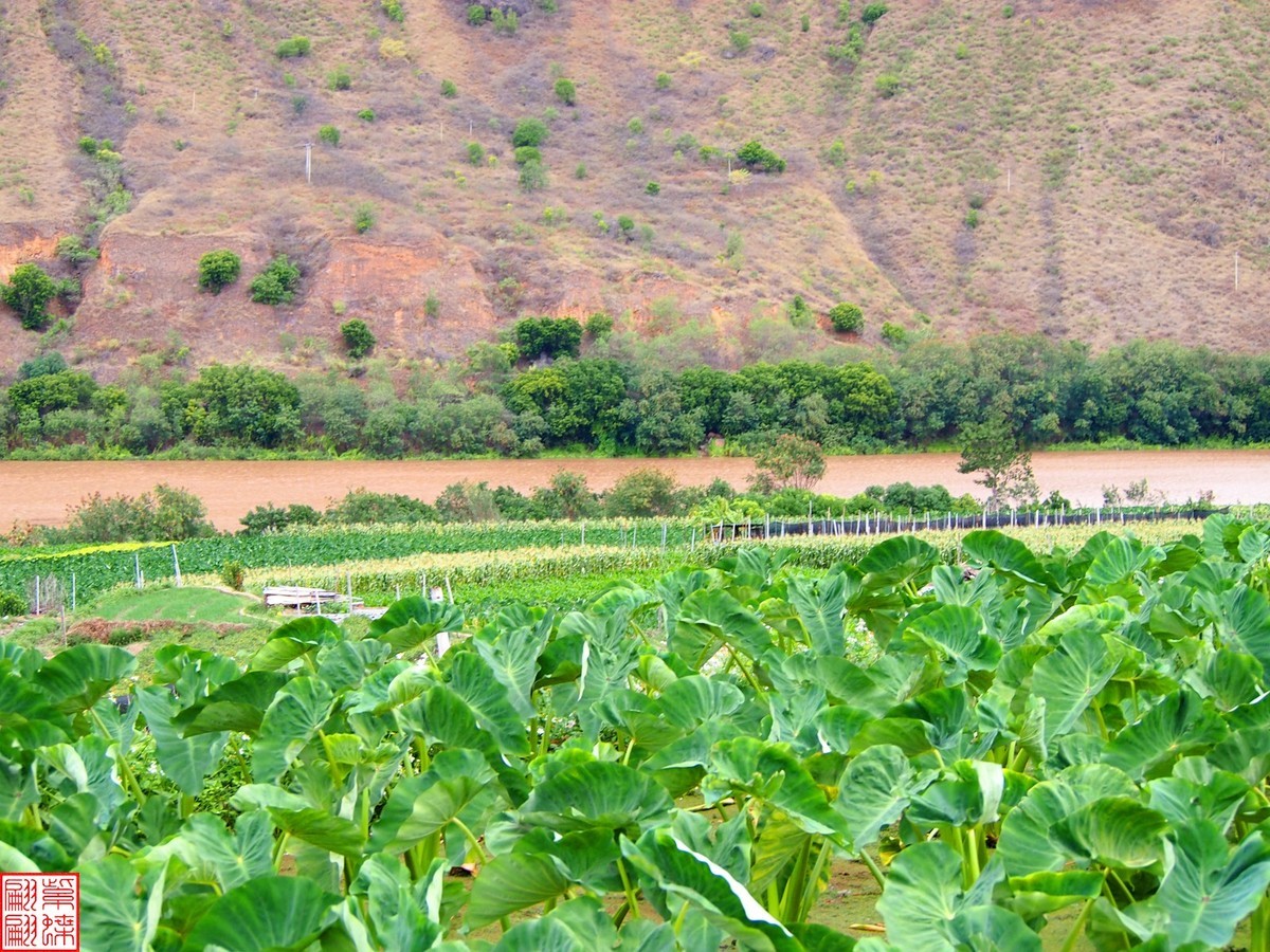 2023.12河口随拍（1）