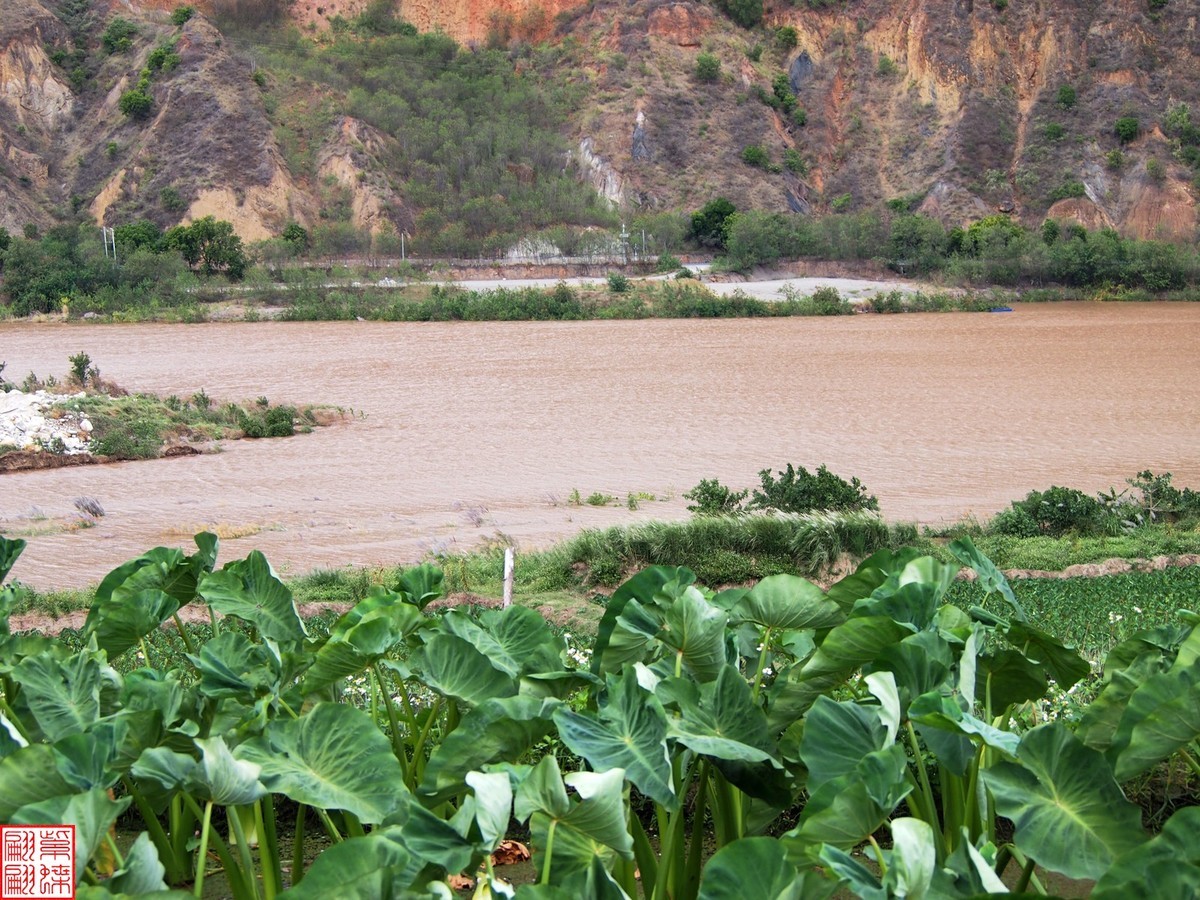 2023.12河口随拍（1）