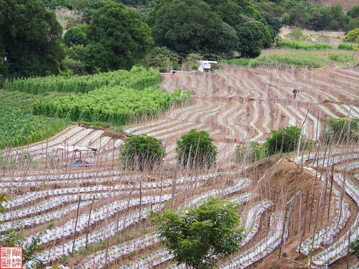 2023.12河口随拍（1）