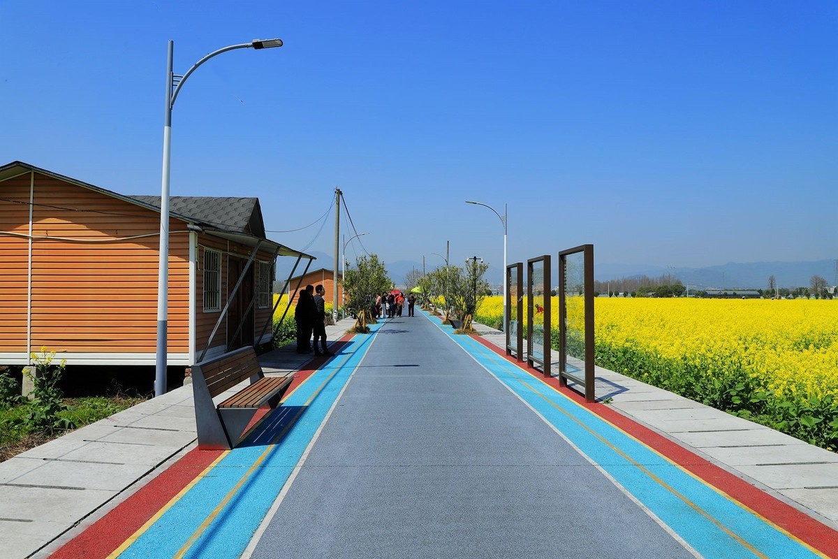 郭溪任桥村油菜花(4)