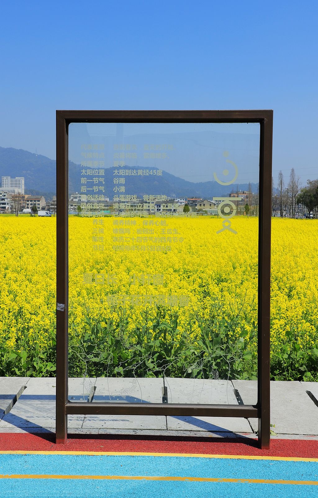 郭溪任桥村油菜花(4)