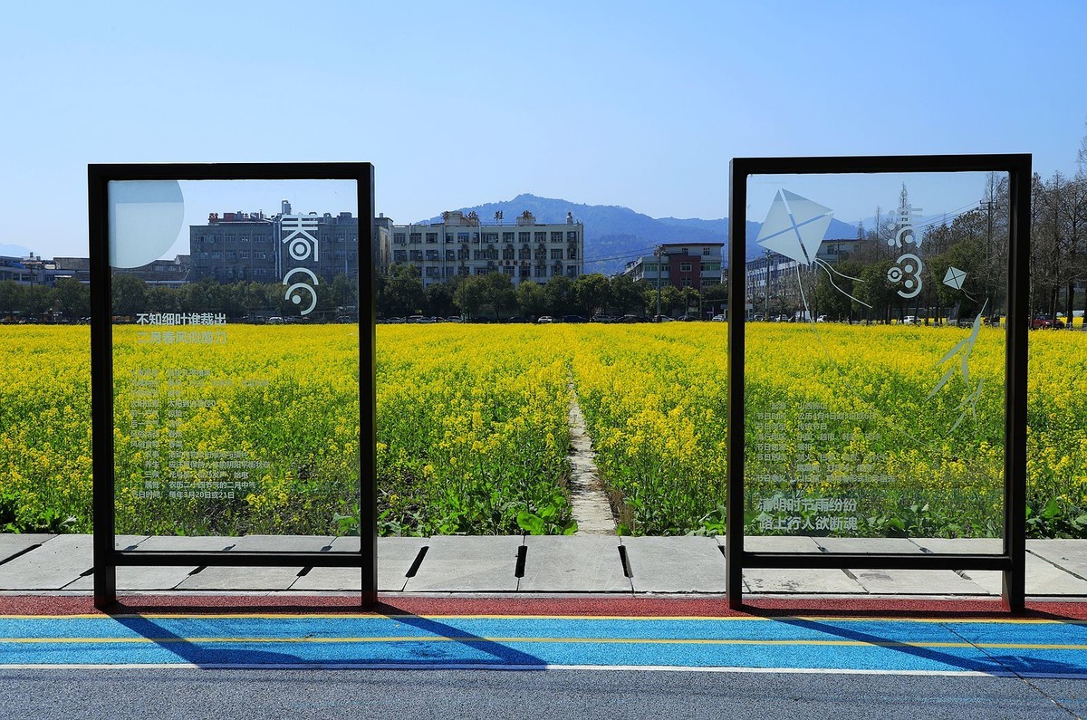 郭溪任桥村油菜花(4)