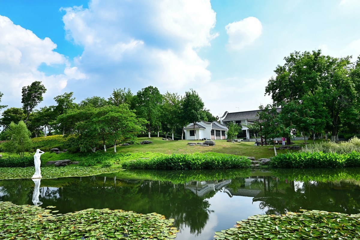 公园夏景(续1)-中关村在线摄影论坛