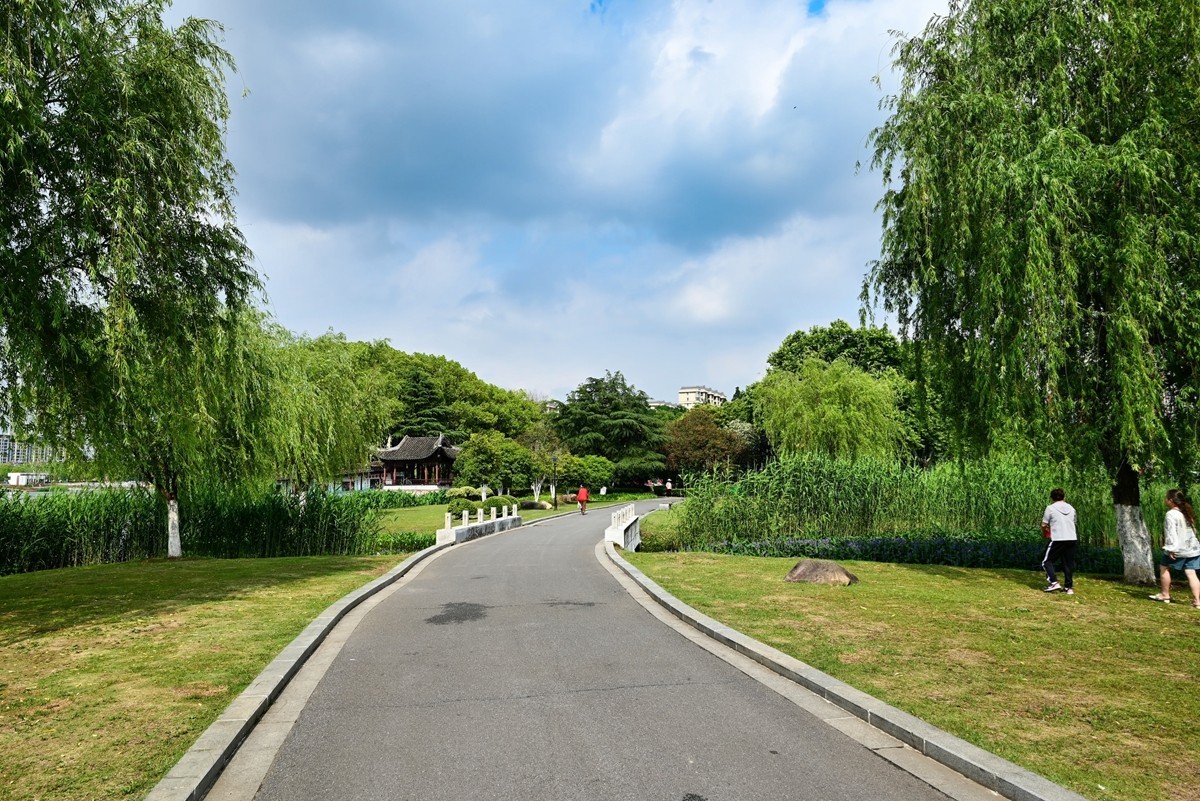 公园夏景(续1)-中关村在线摄影论坛
