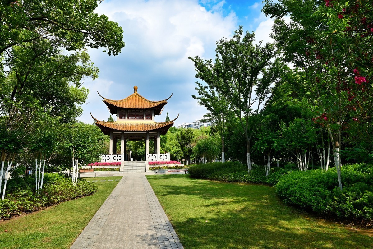 公园夏景(续1)-中关村在线摄影论坛