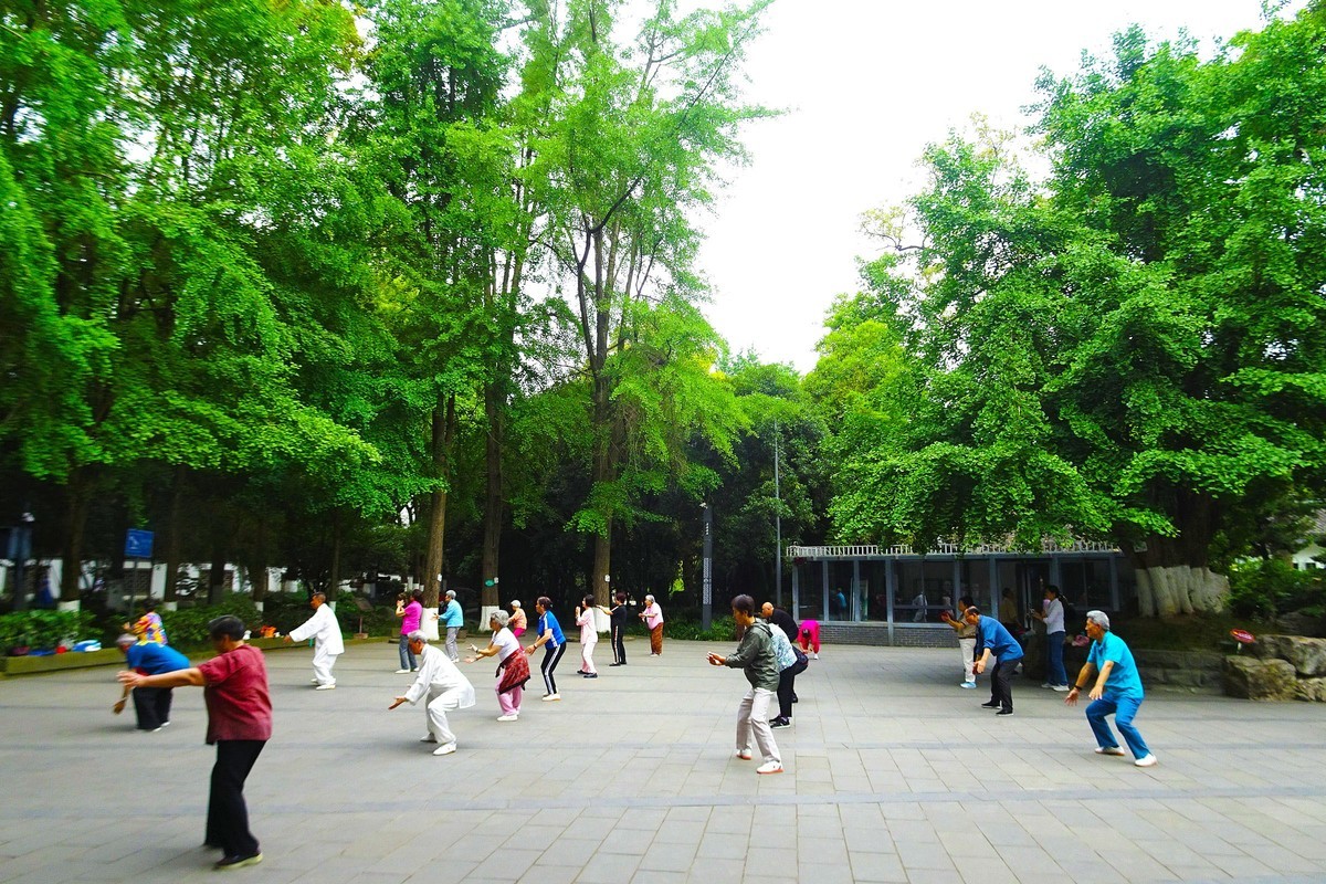 百花潭公园的清晨