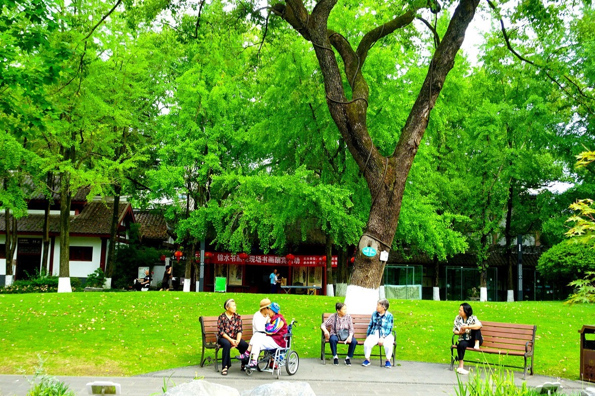 百花潭公园的清晨