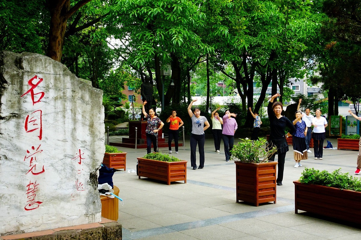 百花潭公园的清晨