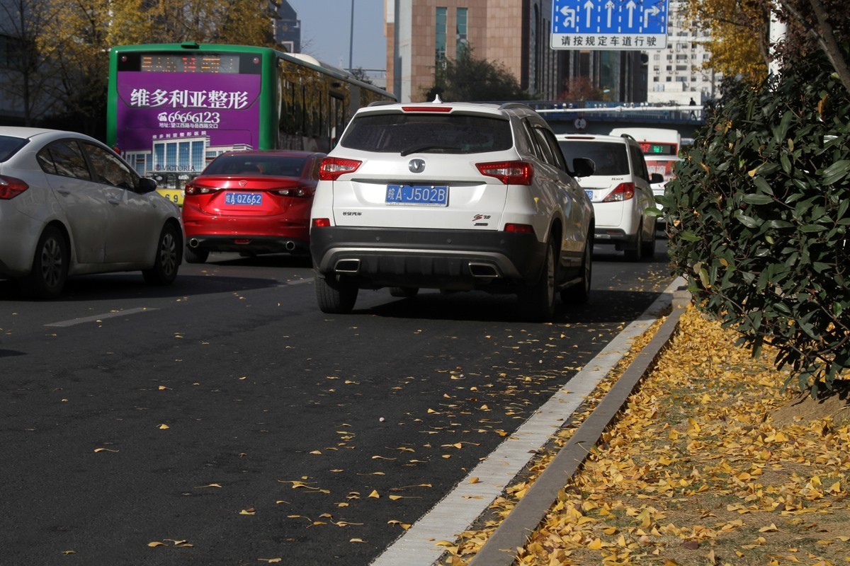 酷暑盼秋凉之合肥徽州大道的银杏
